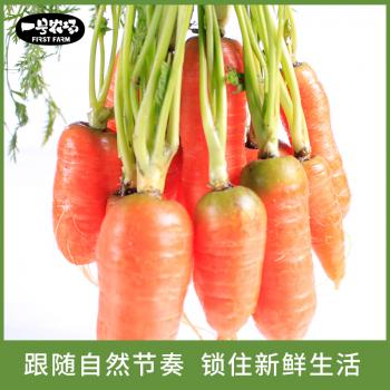 水果小胡萝卜5...